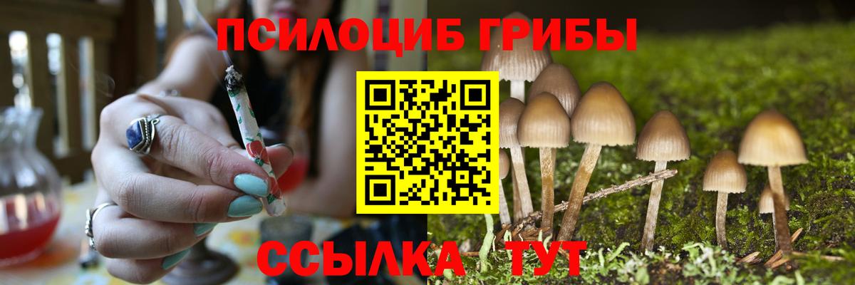 Псилоцибиновые грибы Magic Shrooms Качканар