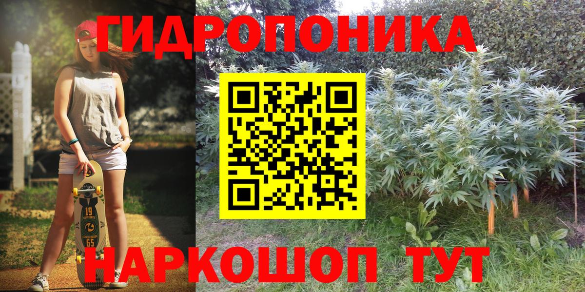 Шишки марихуана план  Марихуана индика  Качканар  Марихуана тримм  Вход с VPN 